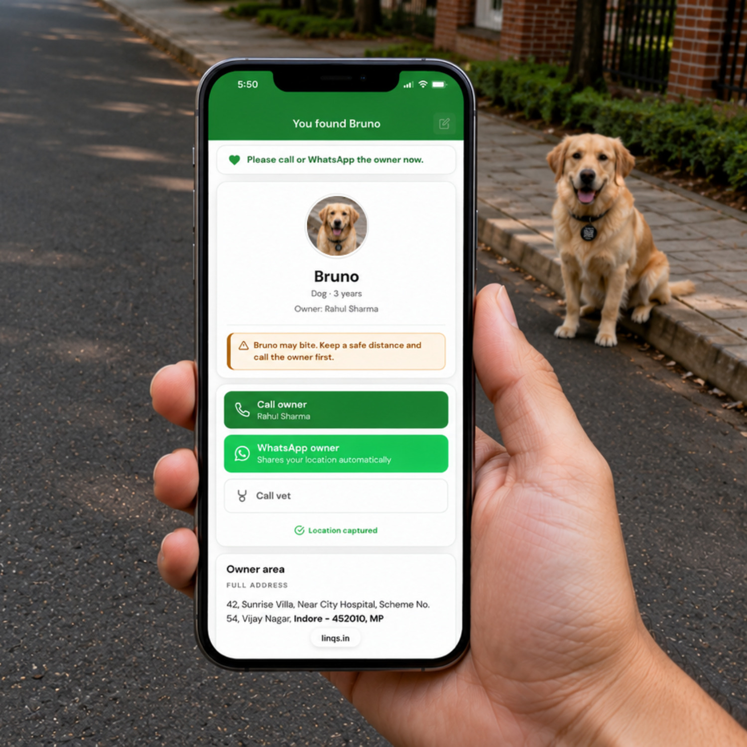 A finder holding their phone showing Bruno's pet profile after scanning the LessWorry tag, with the dog sitting on the street nearby