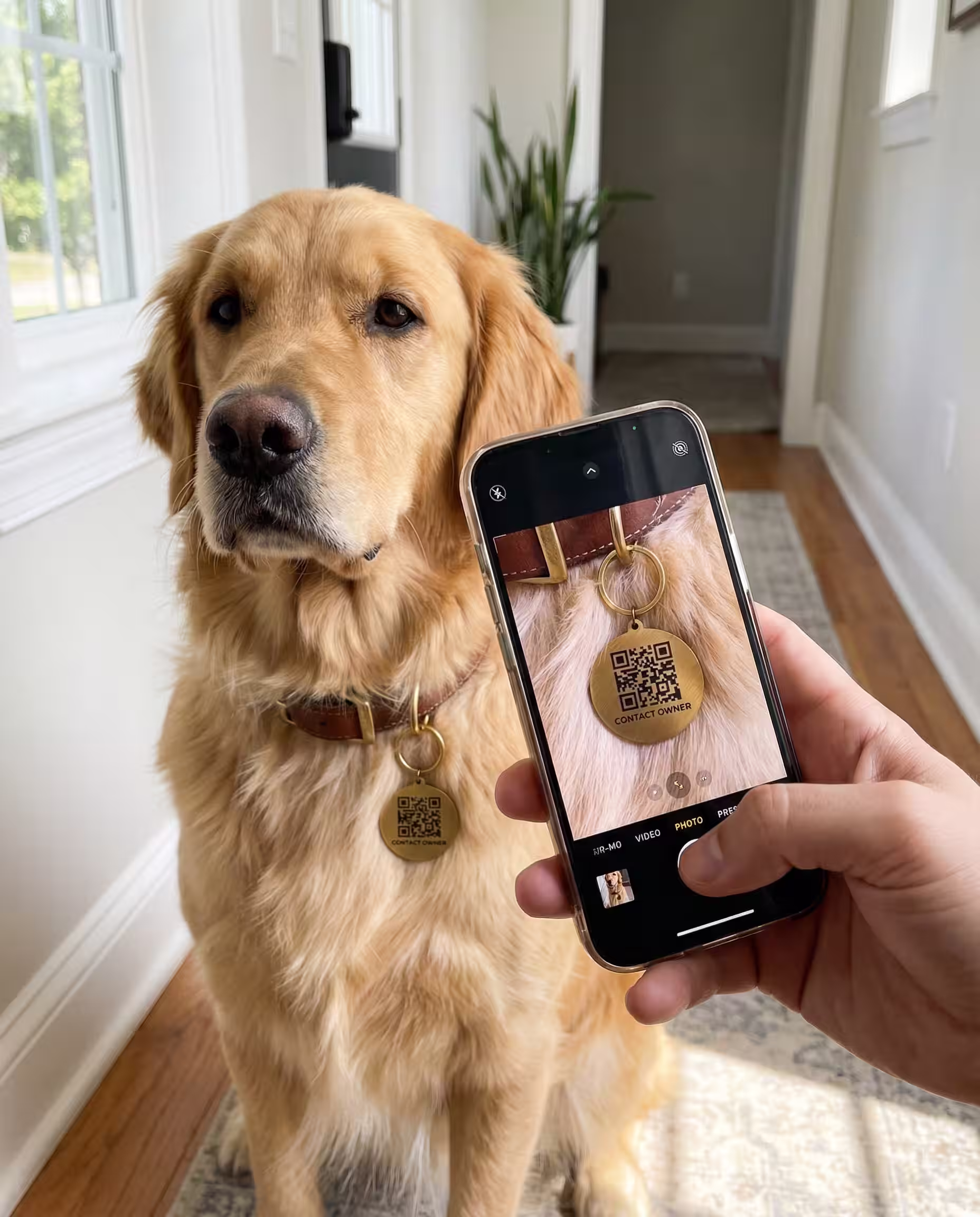 Phone camera scanning a LessWorry metal pet tag